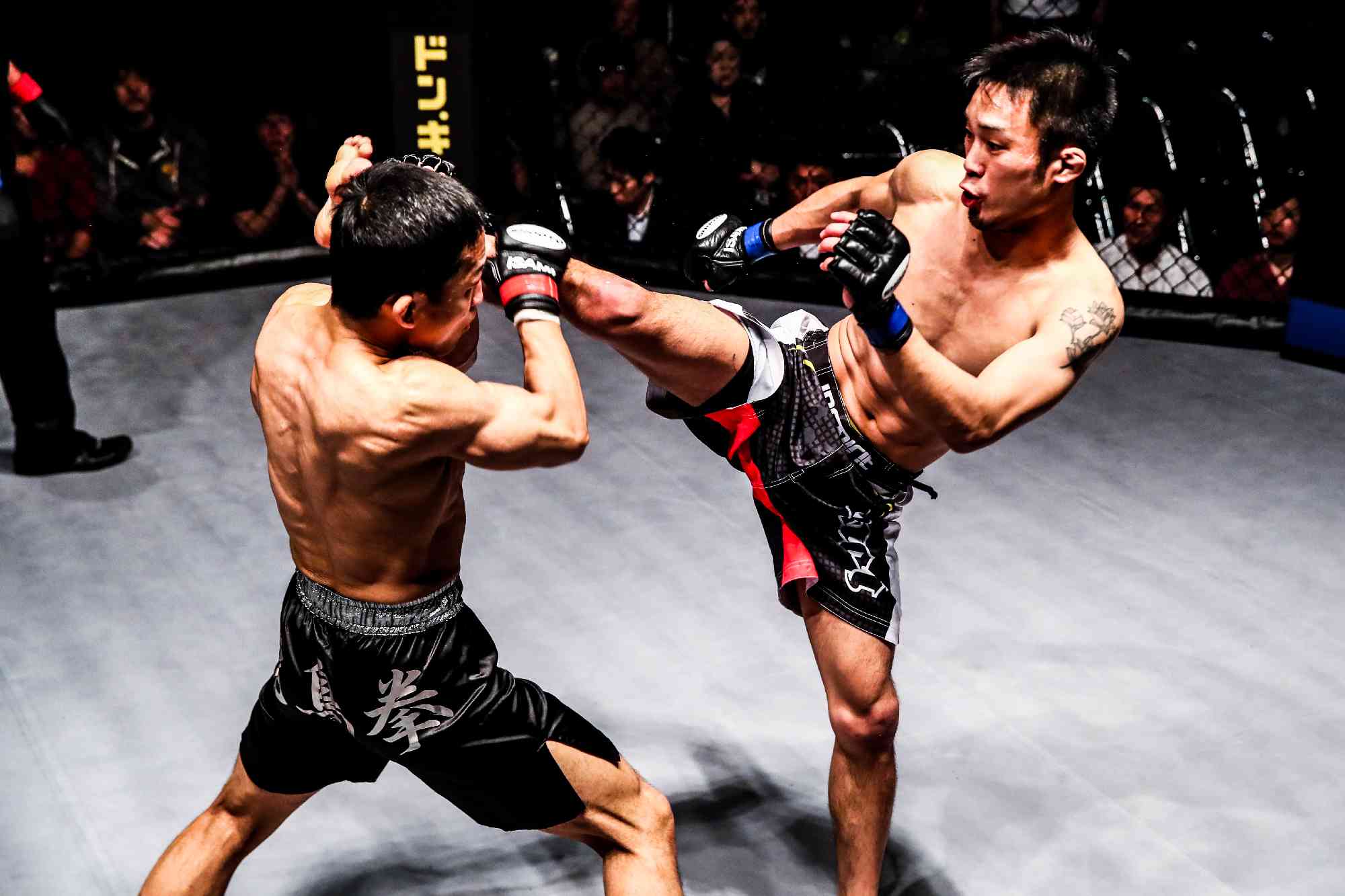 SHOOTO#0224