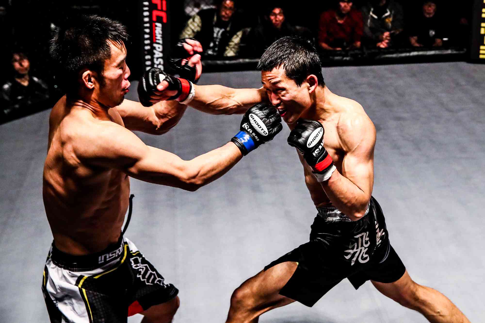 SHOOTO#0224