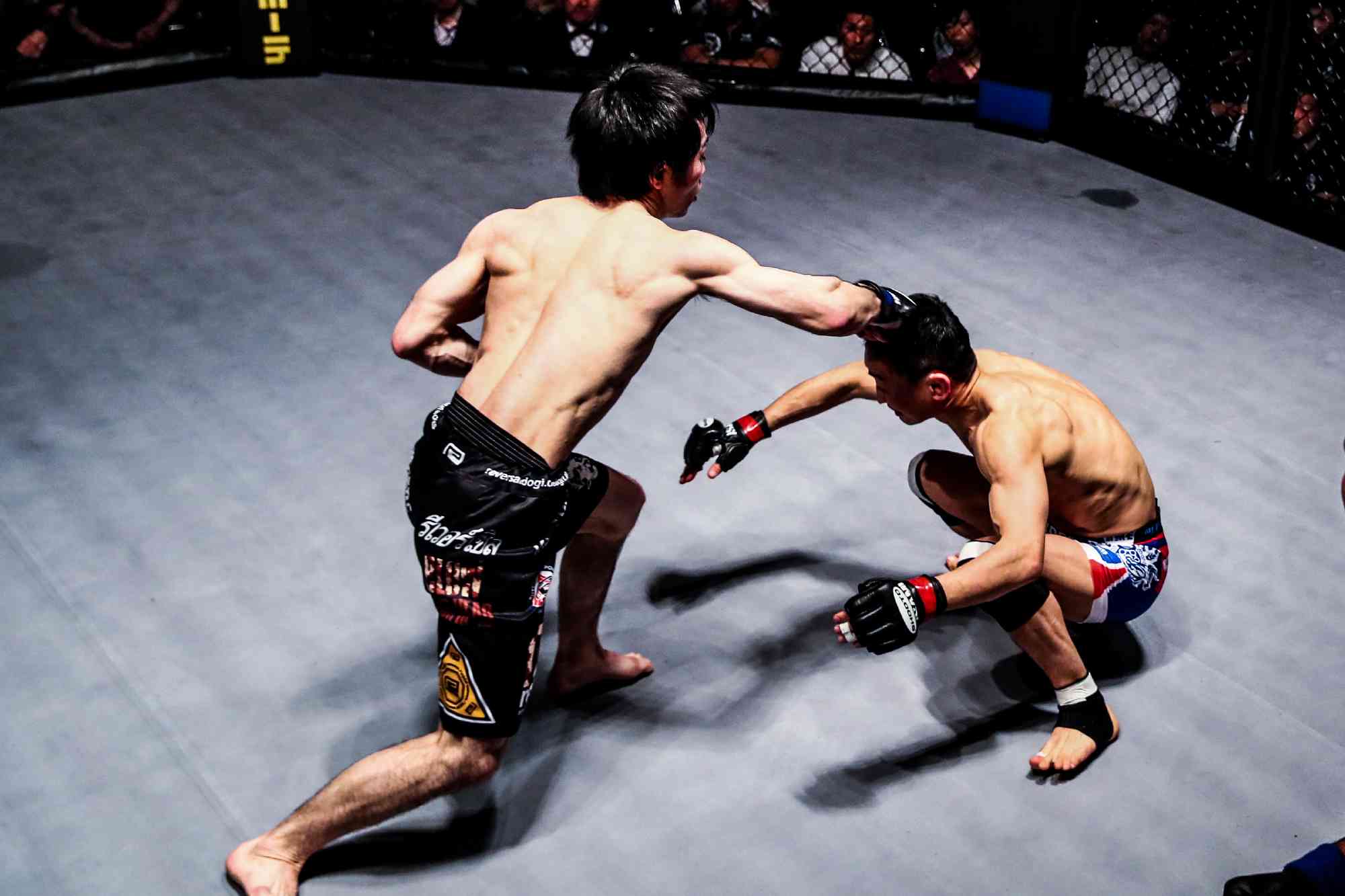 SHOOTO#0224