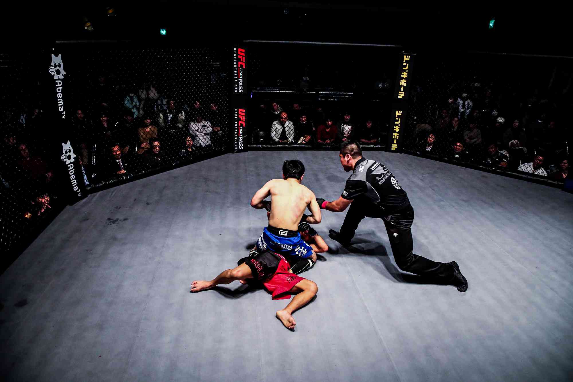 SHOOTO#0224