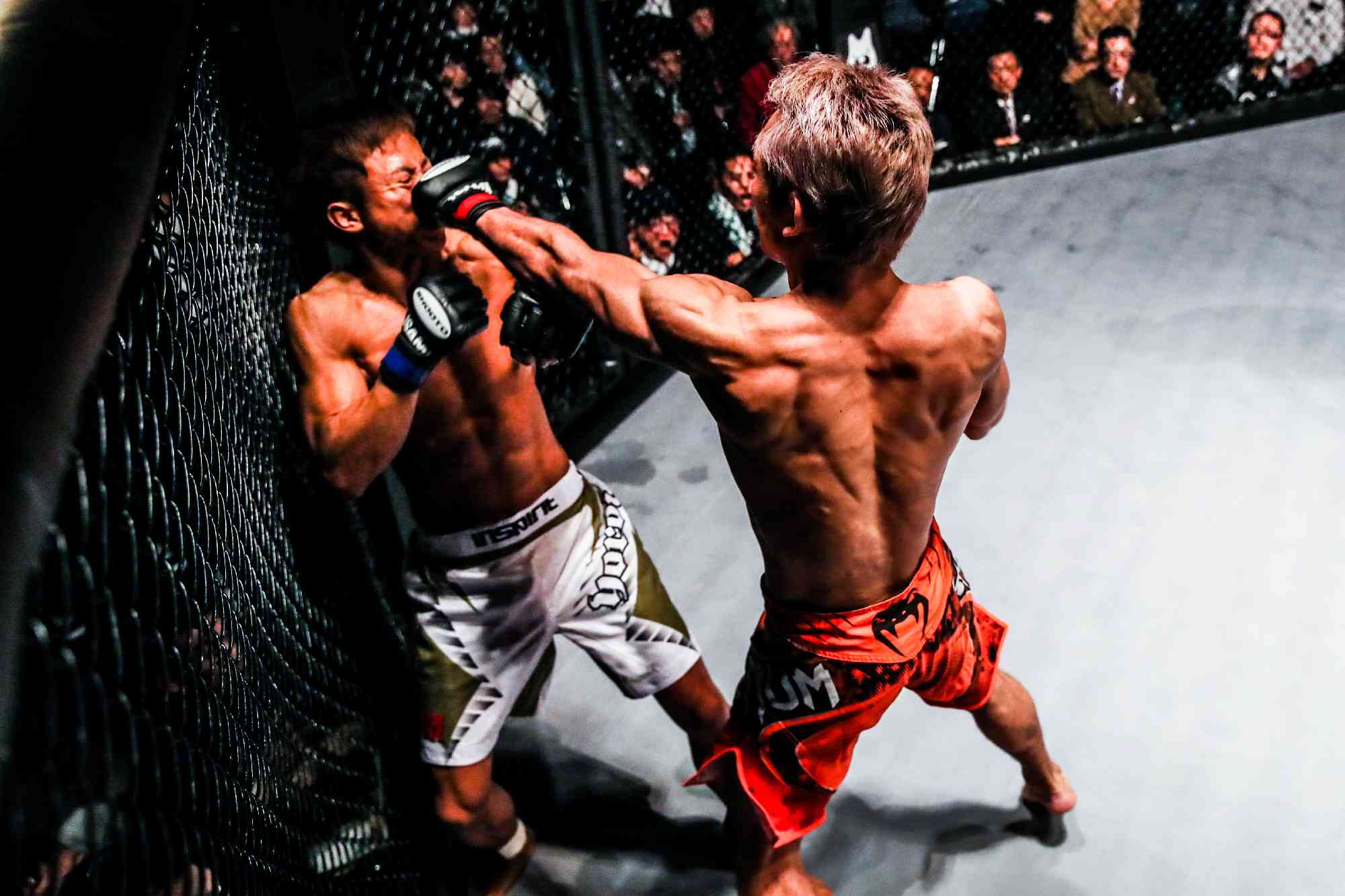 SHOOTO#0224