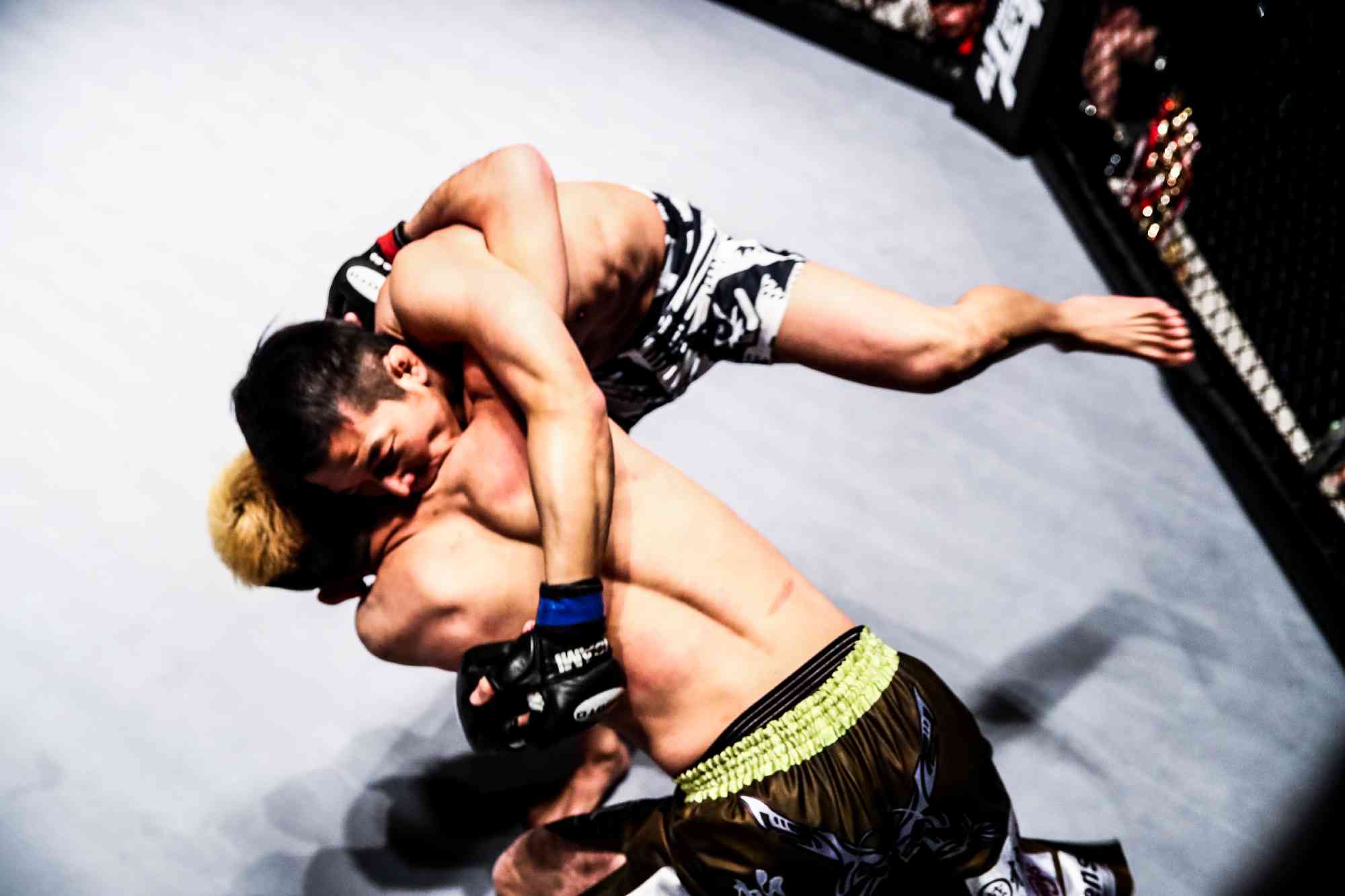 SHOOTO#0224