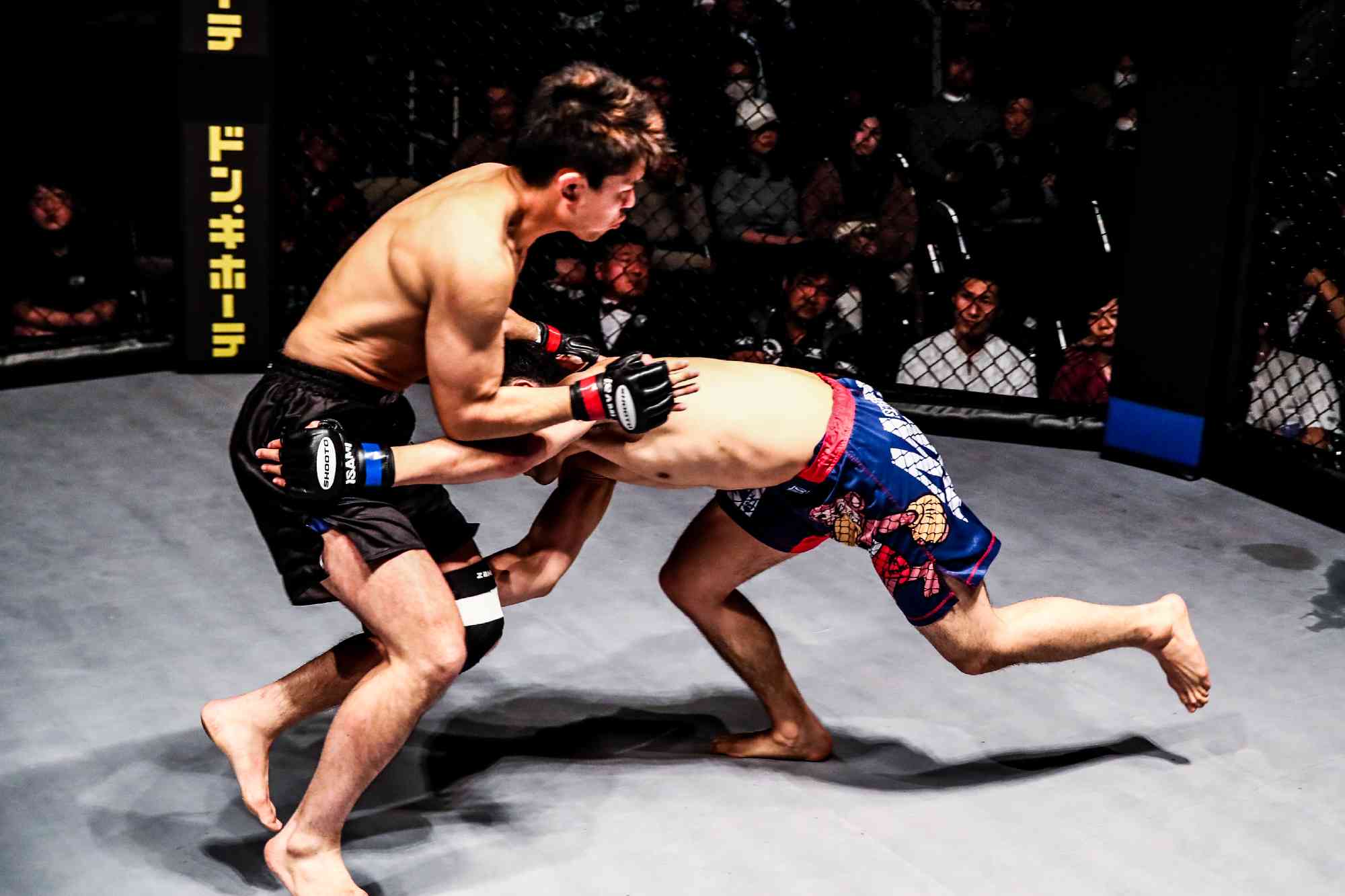 SHOOTO#0224