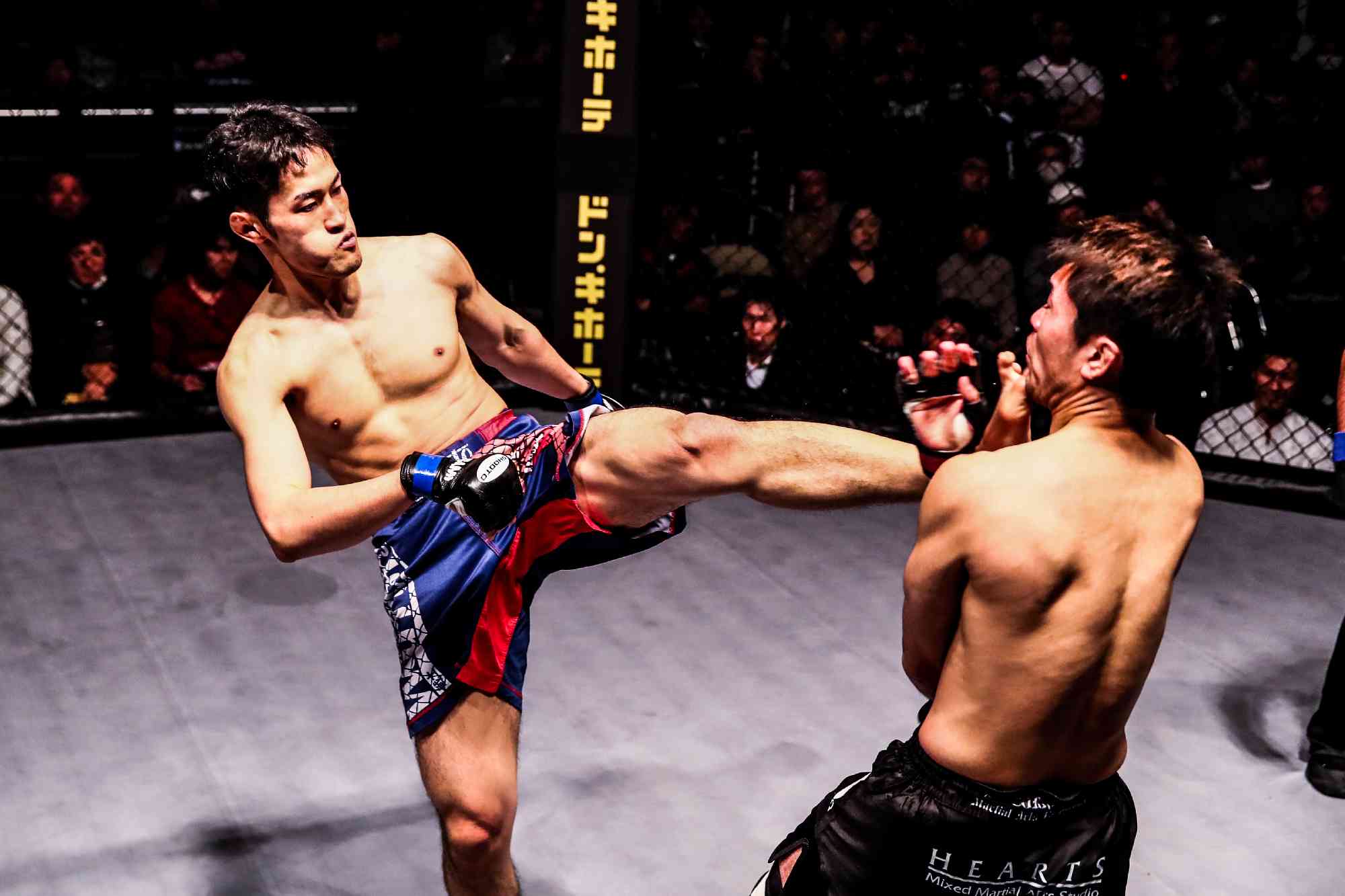 SHOOTO#0224