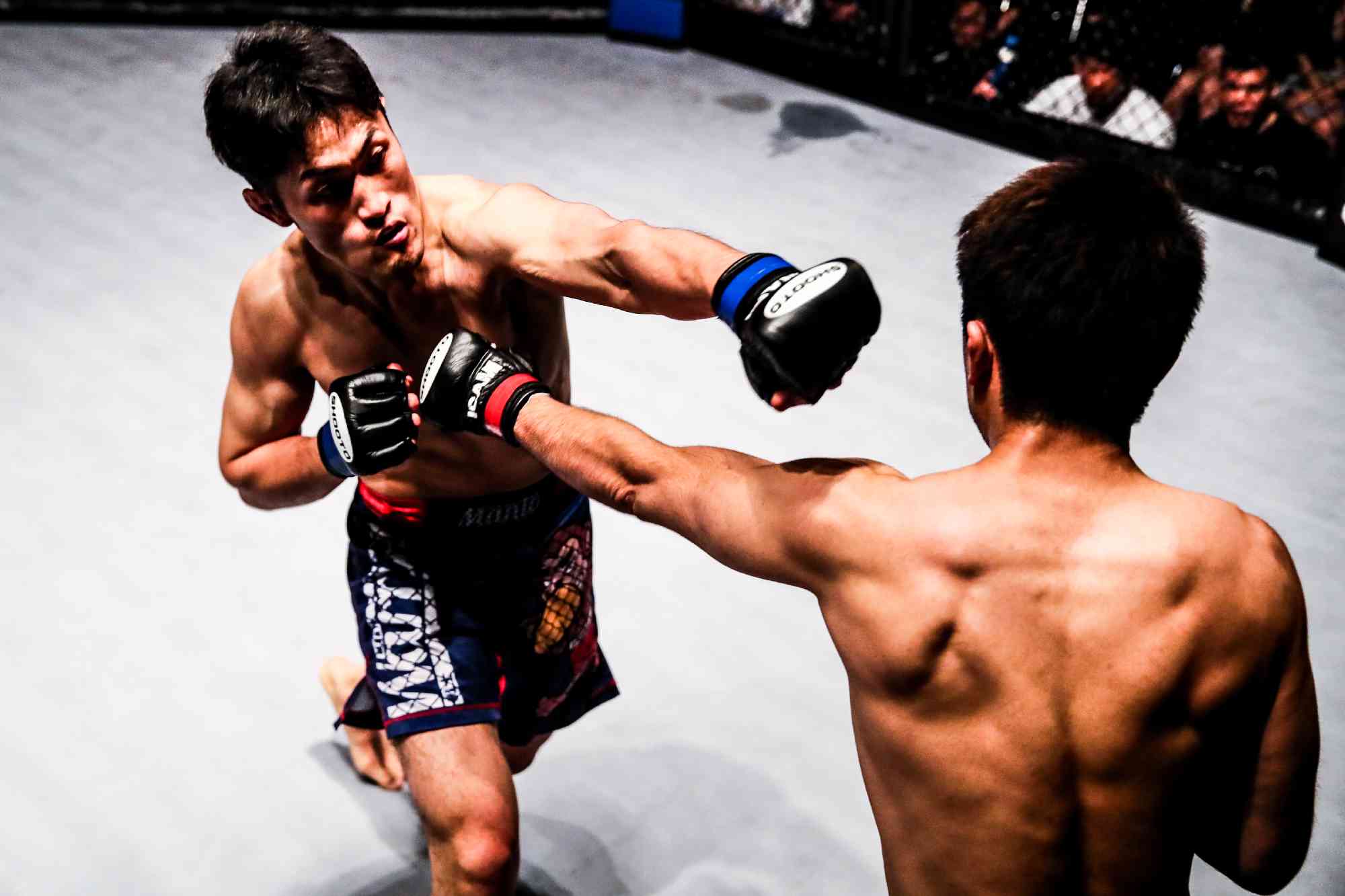 SHOOTO#0224